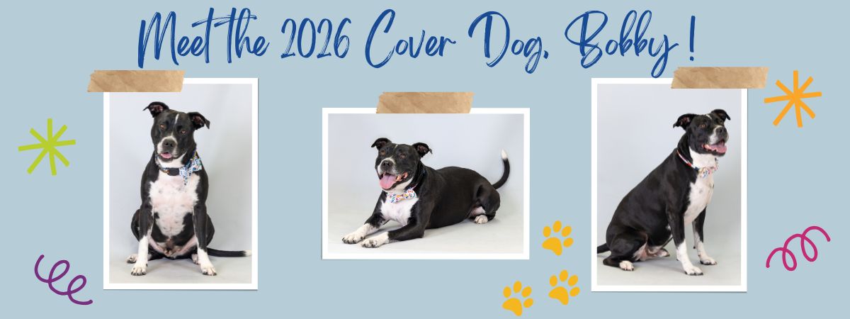 2026 Walk Website graphics (1).jpg