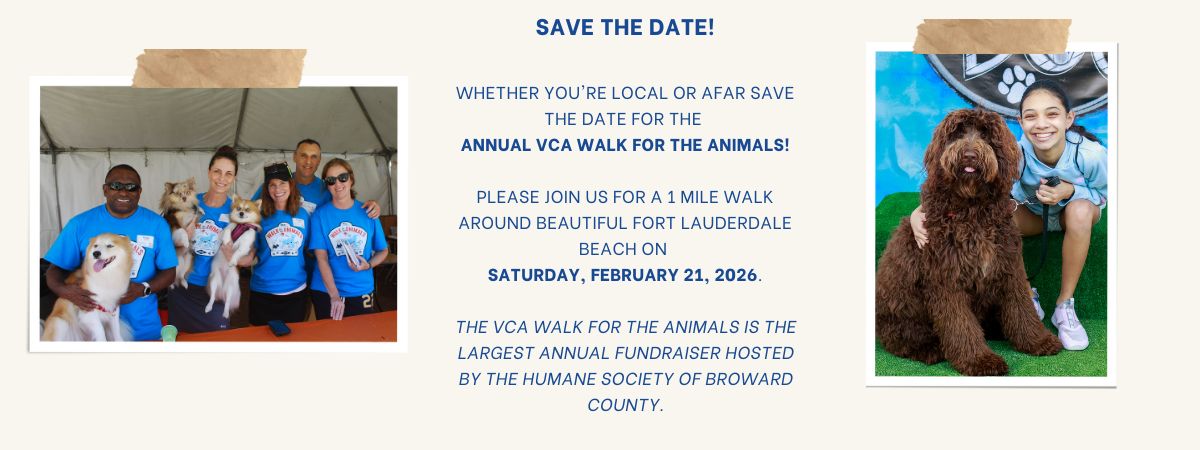 2026 Walk Website graphics.jpg