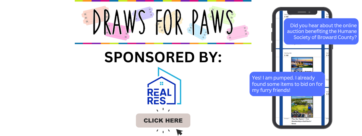 Copy of Meet the 2024 Cover Dog, Anni! (1).png