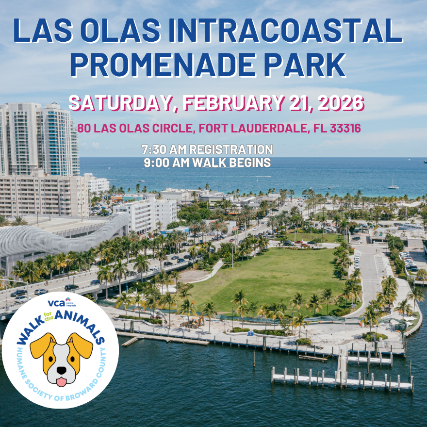 new location (2).png